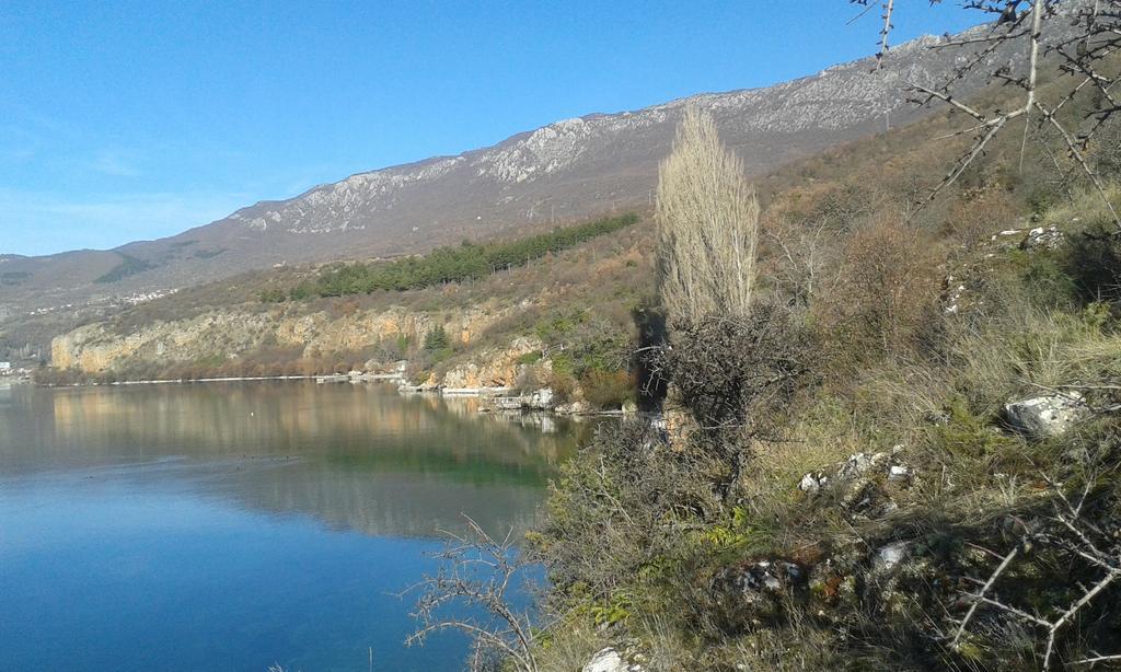 Villa Mimi Peštani المظهر الخارجي الصورة